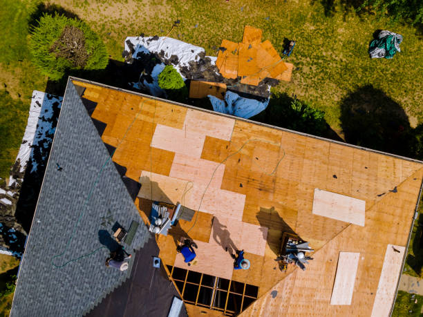 Best Roof Maintenance Services  in Halstead, KS